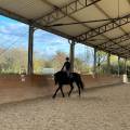Freies Training 04.10.2025